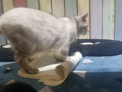-小时光咖啡馆(开森度假森林店)