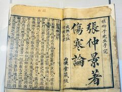 -广东中医药博物馆