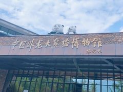 -卧龙中华大熊猫苑神树坪基地