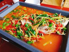 活渡花鲢-蜀江春(科华北路店)