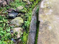 -天目山-昭明禅寺