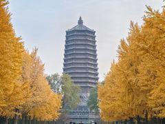 -玲珑塔公园