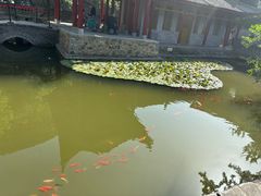 -《12·12》西安事变大型实景演出