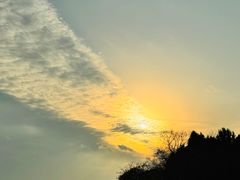 -贡湖湾湿地公园