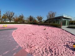 -上海山野camping·户外天幕烧烤·团建拓展营地
