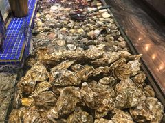 -丰卓会海鲜自助(中润大道店)