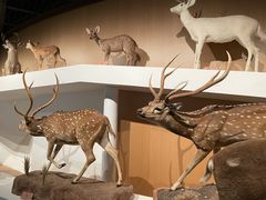 -陕西自然博物馆