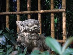-广州兰圃