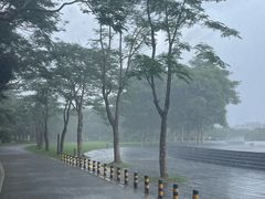 -海珠湖公园
