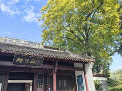 -柳侯公园