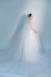 -巴黎经典婚纱摄影PARISSIC