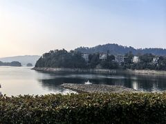 -千岛湖东南湖区