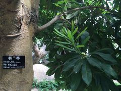 -南通洲际绿博园