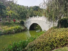 -王借岗森林公园