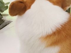 -南宁国际会展中心(会展东博文化旅游区)