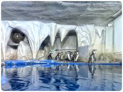 -太平洋海底世界