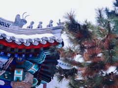 -莲池书院博物馆