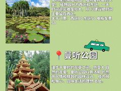 -西双版纳傣族园