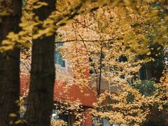-重庆工商大学(南岸校区)