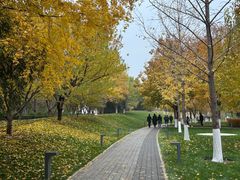 -西二旗(地铁站)