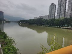-光明港公园