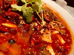 -辛香汇·现炒川菜(淮海路百盛店)