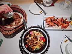 -鸽小宝(深圳首店)