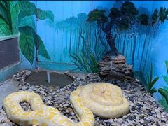 -石家庄市动物园