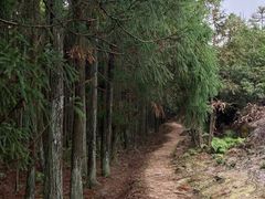-大罗山风景区