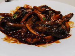 -蝶园·装修中(BFC外滩金融中心店)