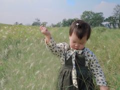 -白鹭湾湿地公园