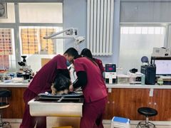 -纳吉亚猫专科动物诊疗中心(蒋宅口分院)