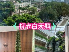 -广州白天鹅宾馆