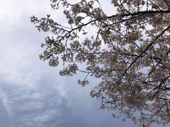 -杭州植物园