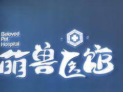 -萌兽医馆·眼科·异宠专科(三里屯店)