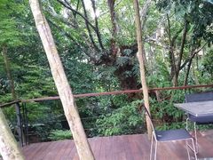 android_upload_pic-七仙岭君澜度假酒店