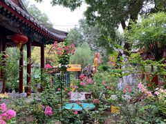 -白家大院·王府宫廷菜(苏州街店)
