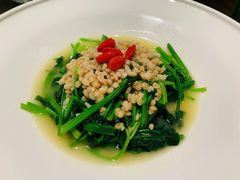 燕麦奶汤有机菠菜-桂满陇-十里风荷(合生汇店)
