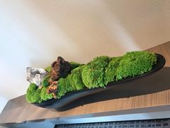-上海宝华喜来登酒店·采悦轩中餐厅