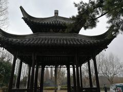 -泰州凤城河风景区-泰山公园