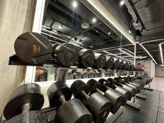 -健身专家Wellness Experts