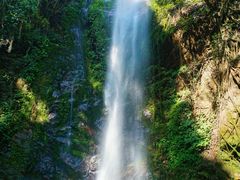 -莫里热带雨林景区