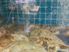 -77号渔船·蒸海鲜青岛菜(积米崖店)