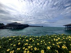 -卡帕莱度假村(西巴丹岛)