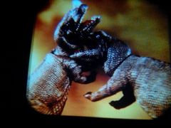 -佳兆业国际影城(鞍山店)