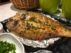 -九府羊·鲜羊火锅·烤串(新华路店)