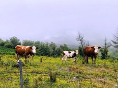 -硗碛藏寨·神木垒景区