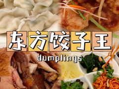 -东方饺子王(新奥购物中心店)