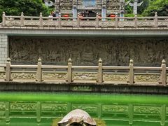 -鼎湖山风景区