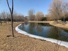 -东郊湿地公园